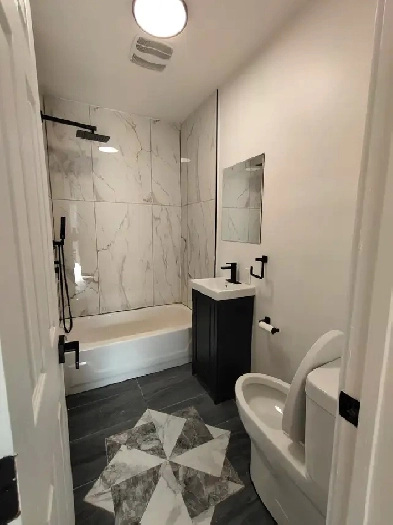 Newly renovated 3 1/2 Apartment for rent Image# 2