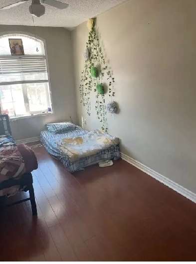 Room for rent is townhouse . Only for girls Image# 1