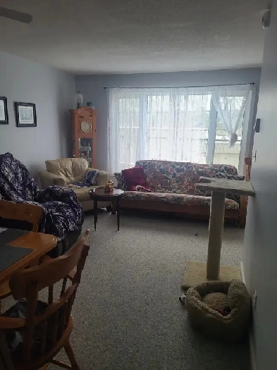 2 Bed/1 Bath Apt for Rent Huntsville Image# 5