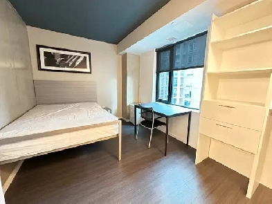 Fully furnished stylish apartment for rent Little Italy Image# 5