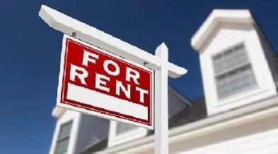 Looking For a Room for rent in Ottawa Or Gatineau For June 1st Image# 1