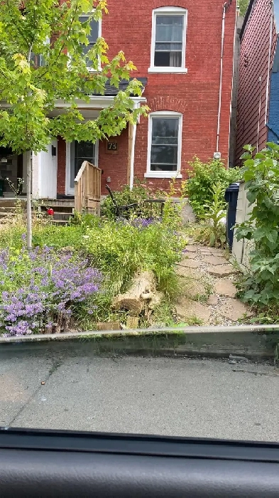 Basement Apartment near Main Station $1.050 Image# 9
