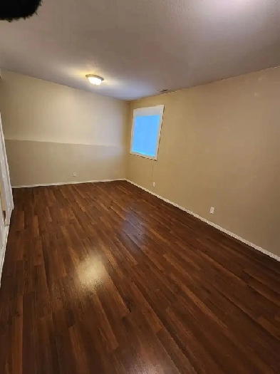 Spacious Walkout 2 Bedroom Suite Big Windows in Evergreen SW Image# 8