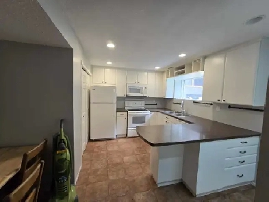 1 bedroom daylight basement suite in Upper Sahali Image# 1