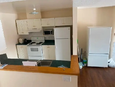 $800, Room for Rent, 8-Minute Walk from Algonquin College – Male Image# 1