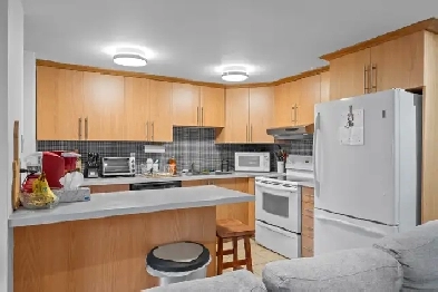 Grande 3 1/2 louer — Ahuntsic / Villeray Image# 10