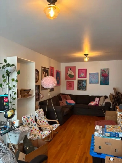 logement 6 1/2 a louer dans rosemont Image# 5