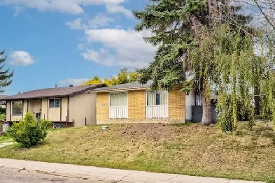 I'm a local guy, I buy houses and rental properties Image# 1