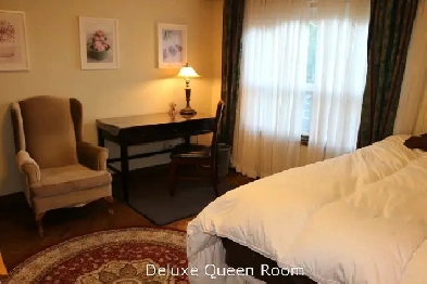 Deluxe Queen Room near York U, Humber College, YYZ-Avail Now! Image# 4