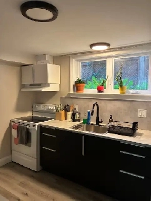 fully renovated 1 bedroom basement unit - Close to CHEO Image# 1