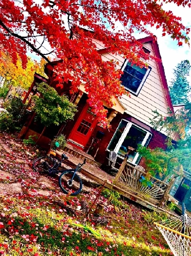 Room for Rent Old Ottawa East by Canal Image# 1