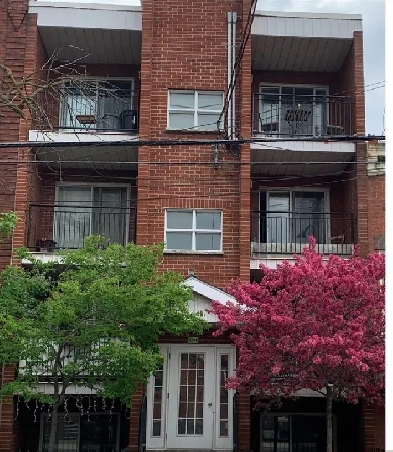 3 1/2 pièces au 2 ième étage, Montréal, Verdun, Québec Image# 7