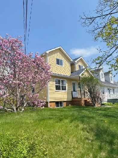 PET OK, QUIET & CLEAN, LARGE 2 BDRMS RENO, 6 APPLIANCES,WEST END Image# 3
