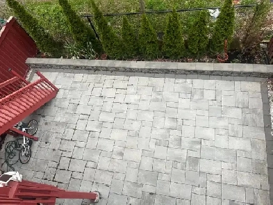 One bedroom walkout Basement - available  from July 1st - $1585 Image# 1