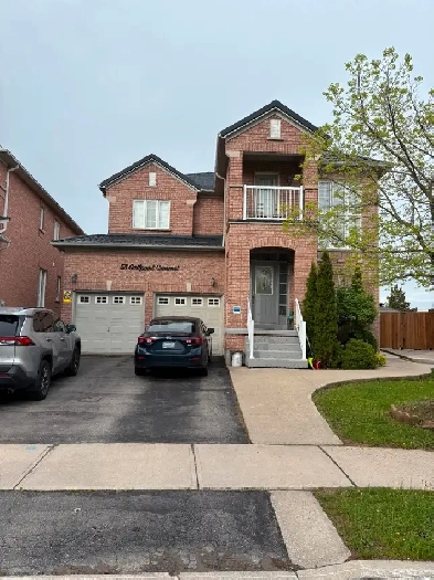 3 Bedroom  Legal Brampton Basement Apartment for Rent Image# 7