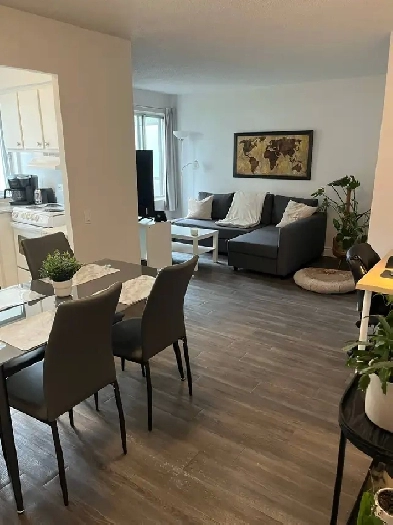 Appartement 3 1/2 Image# 5