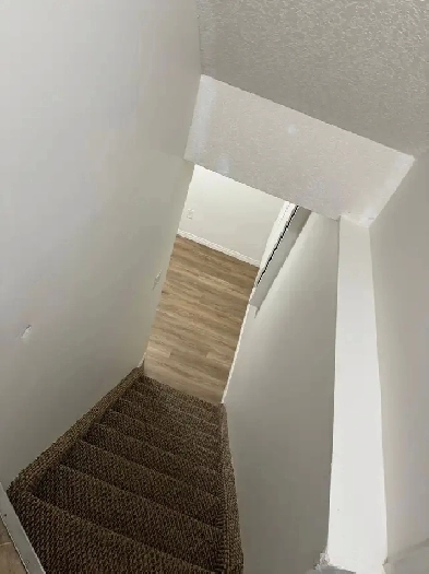 BASEMENT FOR RENT IN TARADALE Image# 2