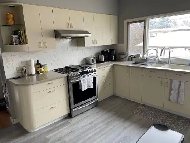 1  Bedroom( main floor) with Modern Kitchen Image# 2