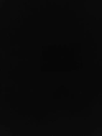 41/2 a Anjou Image# 1