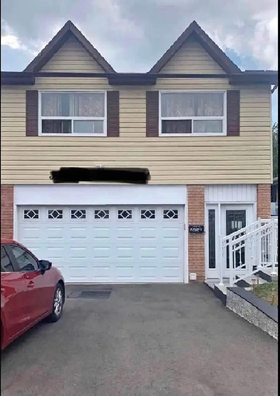 Fully renovated new basment - Malton Mississauga Image# 3
