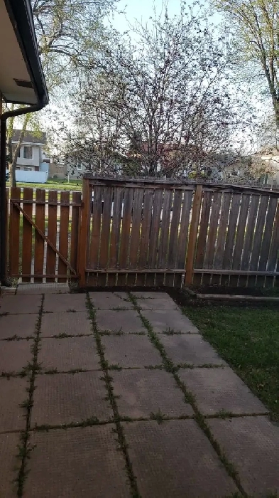 PRIVATE ROOM RENT FOR GIRL ON MAIN FLOOR IN TYNDALL NORTH Image# 1