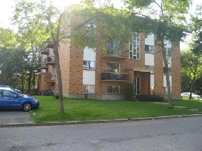 Ste-Foy, à louer 1er juin, 1½ à 850$ Image# 2