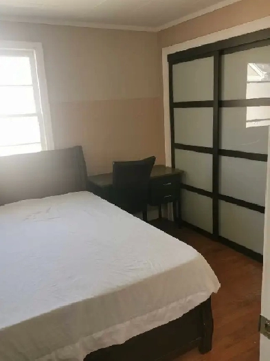 one room close to centennial college & UTSC Image# 4