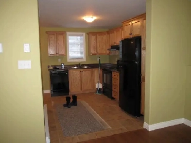Immaculate, Open Concept, 1 Bdrm Apt - Kenmount Terrace $1375/mo Image# 5