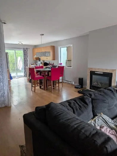 Logement a louer animaux acceptés St-Canut Image# 3