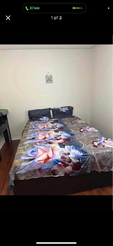 spacious private room for rent Image# 1