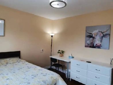 North York close to York University rent female Image# 6