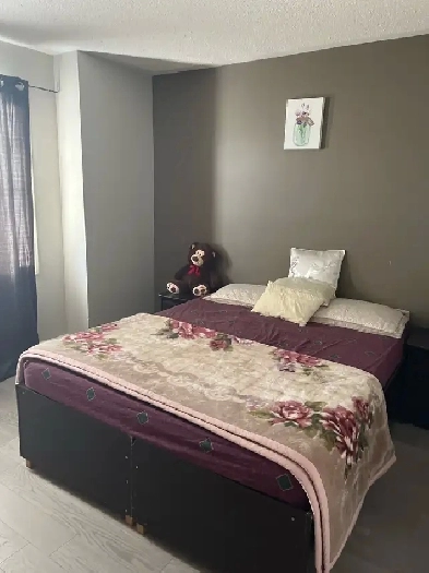 room for 1 or 2 girls sharing Image# 1