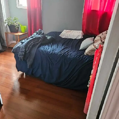 Mobile Home For Rent Image# 1