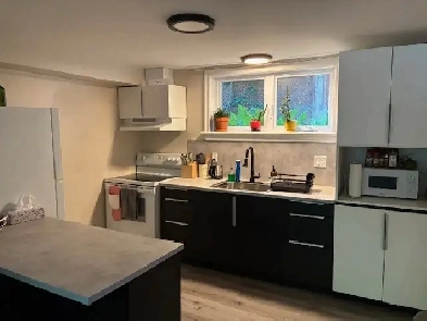 Amazing newly renovated 1 Bedroom (Close to CHEO) Image# 2