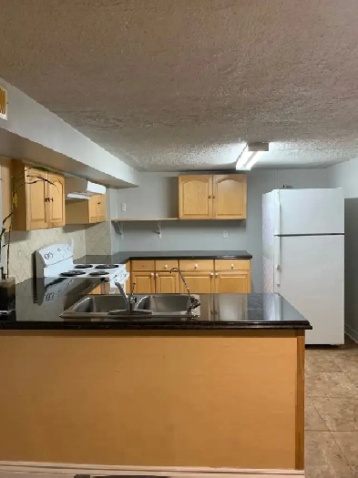 One Bedroom Basement Apartment Image# 1
