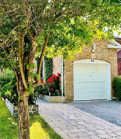 PET FRIENDLY HOME Image# 1