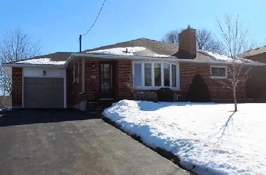Entire huge basement for rent in Oshawa Image# 1