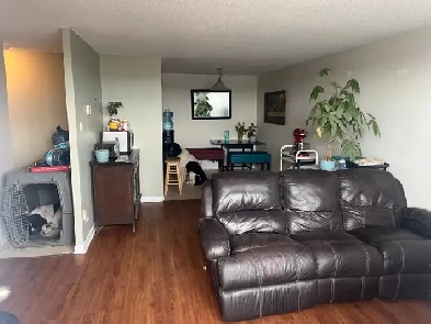 3 Bedroom   Den All Utilities Included Image# 2