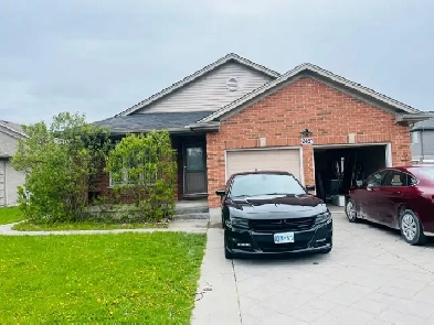 2 Bedroom basement apartment with private backyard - Summerside Image# 8