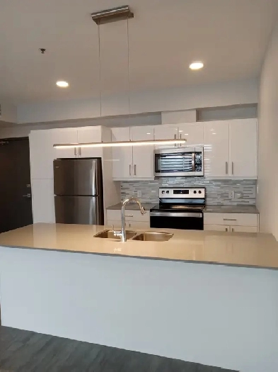 Pet friendly apartment for rent Image# 5