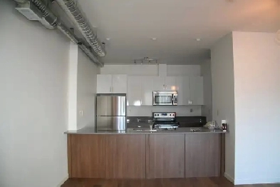 LARGE LOFT UNIT ON 124 STREET- BALCONY-AC-PET FRIENDLY Image# 1