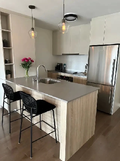 Condo à louer Pointe-St-Charles (Sud-Ouest Montréal) Image# 4