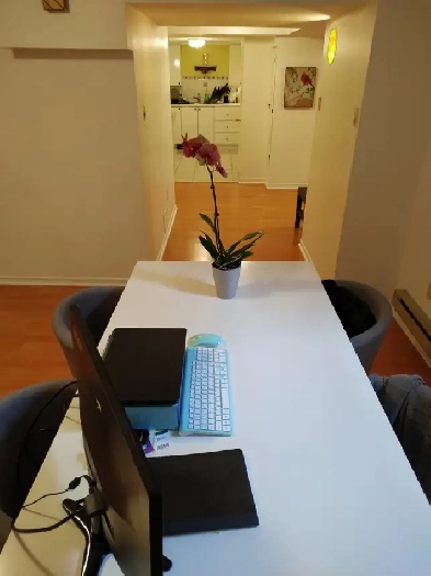 Large One Bedroom Basement Apartment for Rent Image# 9