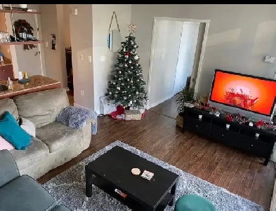 1 Bed, 1 Bath - Downtown Toronto Condo for Rent Image# 8