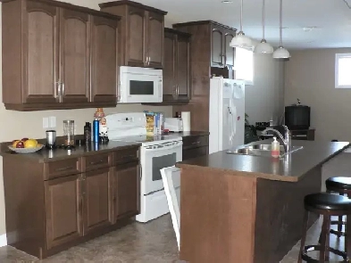 Basement Suite for rent Image# 1