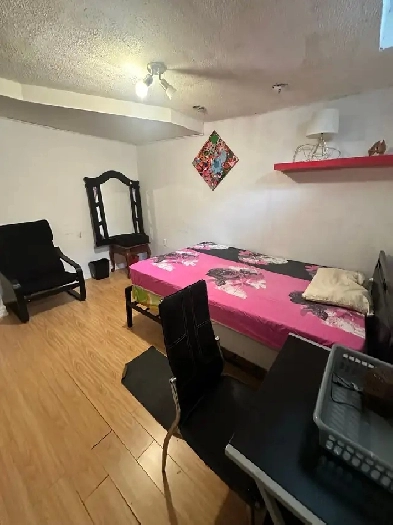 Private Basement Room for Rent- Females Only Image# 6