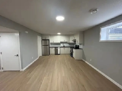 Newly built spacious 2 bedroom basement suite in Desrochers Image# 4