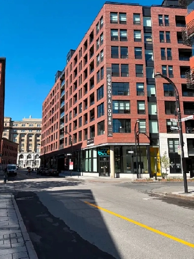 Condo to rent - Apprt à louer Vieux-Montréal Image# 1