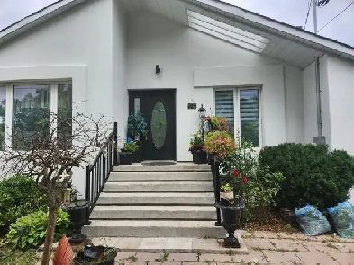 1 Bedroom Basement for rent in North York Image# 9