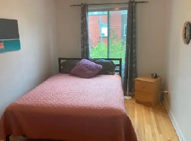 5 1/2 à partager dans nouveau Rosemont (Petite Patrie) Image# 1